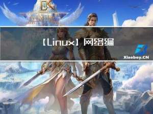 【Linux】网络编程入门（TCP + UDP）