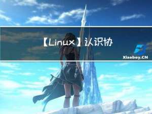 【Linux】认识协议