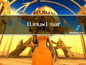 【Linux】sar常用选项介绍