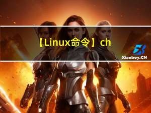 【Linux 命令】chroot