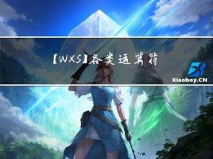 【WXS】各类运算符计算方法及详解