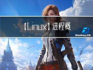 【linux】：进程概念