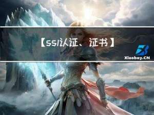 【ssl认证、证书】java中的ssl连接、keytool