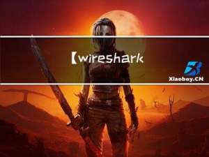 【wireshark】Ubuntu 安装 wireshark 以及 wireshark 过滤器的使用