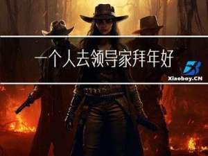 一个人去领导家拜年好吗