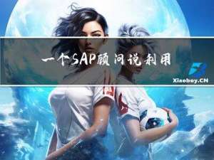 一个SAP顾问说：利用ChatGPT真的可以大大提高工作效率