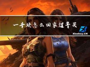 一千块怎么回家过年买衣服