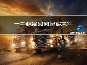 一千棵葡萄树是多大年龄