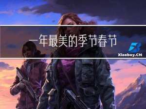 一年最美的季节春节