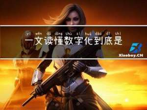 一文读懂｜数字化到底是什么？