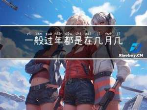 一般过年都是在几月几日