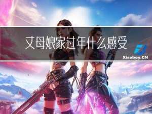 丈母娘家过年什么感受作文