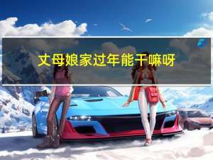 丈母娘家过年能干嘛呀