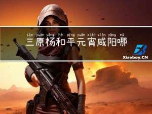 三原杨和平元宵咸阳哪有