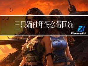 三只猫过年怎么带回家