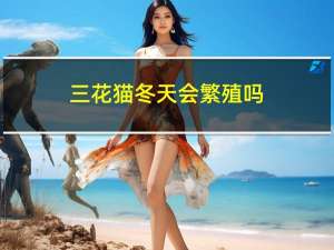 三花猫冬天会繁殖吗