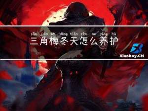 三角梅冬天怎么养护
