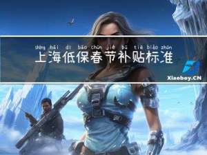 上海低保春节补贴标准