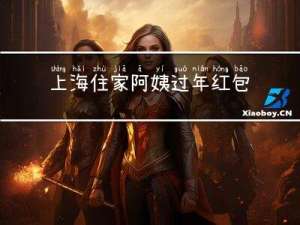 上海住家阿姨过年红包多少