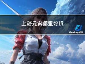 上海元宵哪里好玩