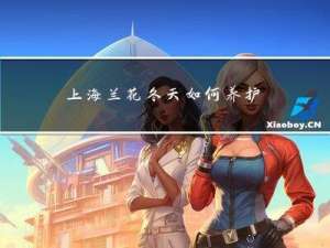上海兰花冬天如何养护视频