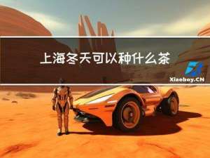 上海冬天可以种什么茶