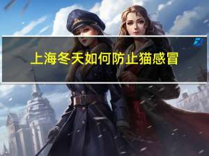 上海冬天如何防止猫感冒