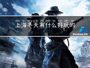 上海冬天有什么好玩的