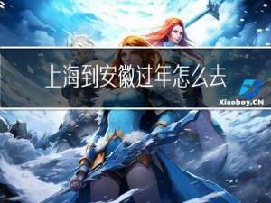 上海到安徽过年怎么去