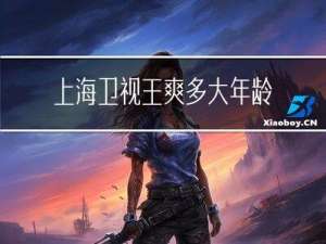 上海卫视王爽多大年龄了