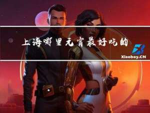 上海哪里元宵最好吃的地方