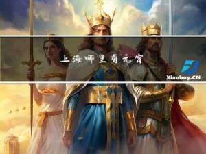 上海哪里有元宵