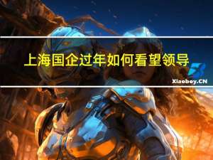 上海国企过年如何看望领导
