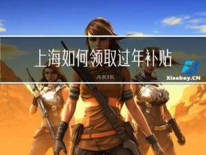 上海如何领取过年补贴金