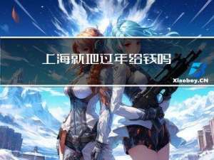 上海就地过年给钱吗