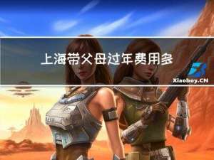 上海带父母过年费用多少