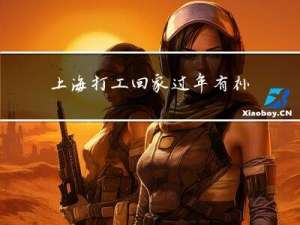 上海打工回家过年有补贴吗