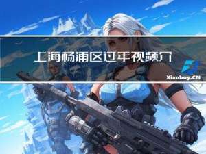 上海杨浦区过年视频介绍