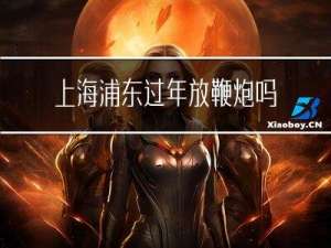 上海浦东过年放鞭炮吗