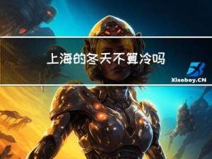 上海的冬天不算冷吗