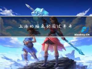 上海的蹦床公园过年开门吗