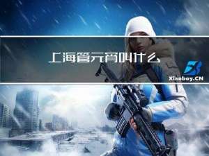 上海管元宵叫什么