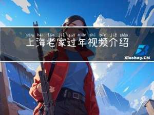 上海老家过年视频介绍