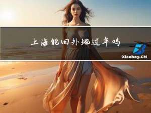 上海能回外地过年吗