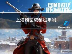 上海能回成都过年吗