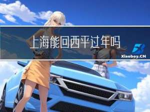 上海能回西平过年吗