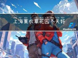 上海薰衣草花园冬天好玩吗