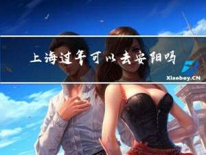 上海过年可以去安阳吗