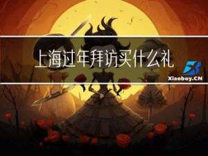 上海过年拜访买什么礼品