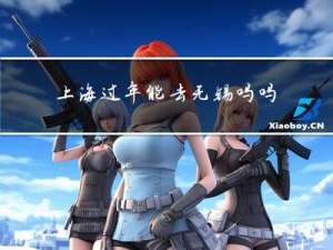 上海过年能去无锡吗吗